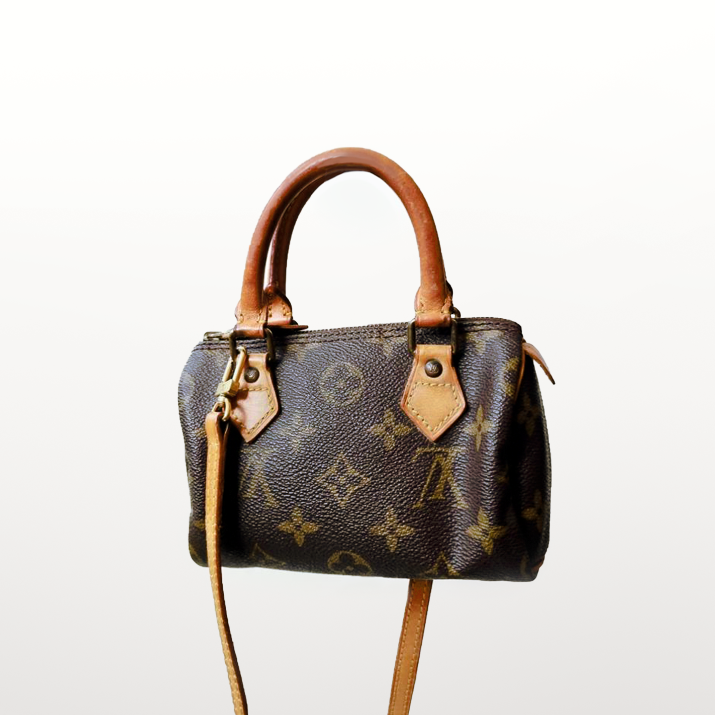 Louis Vuitton Speedy Nano