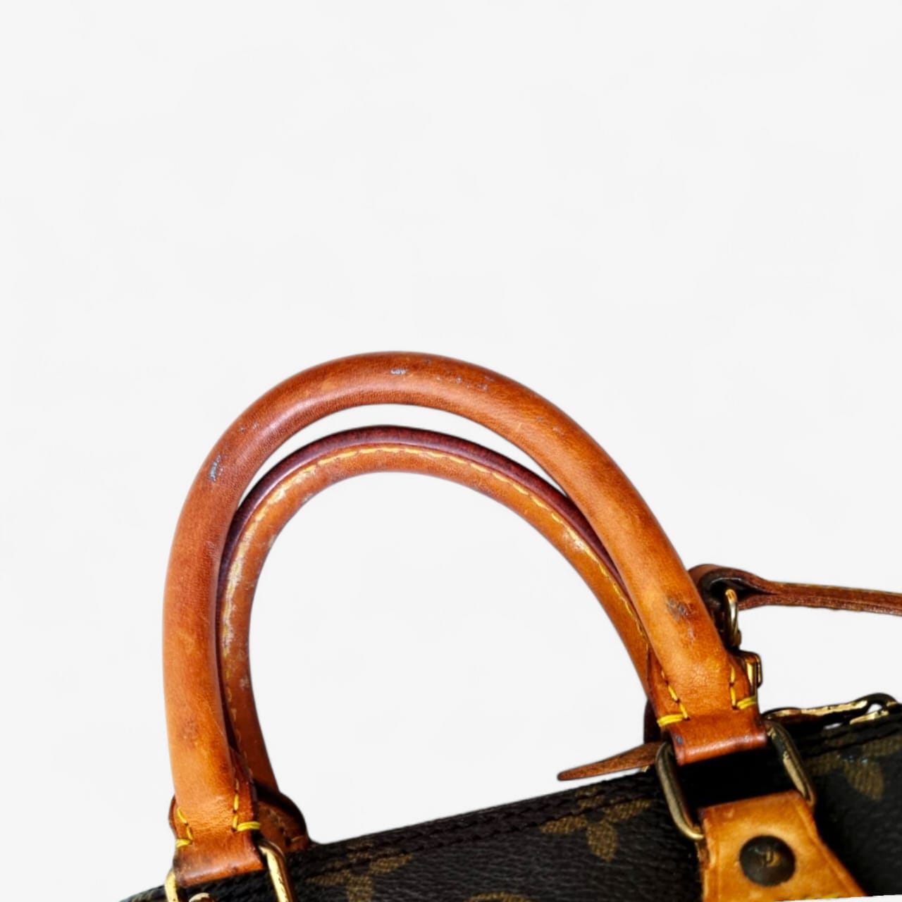 Louis Vuitton Speedy Nano