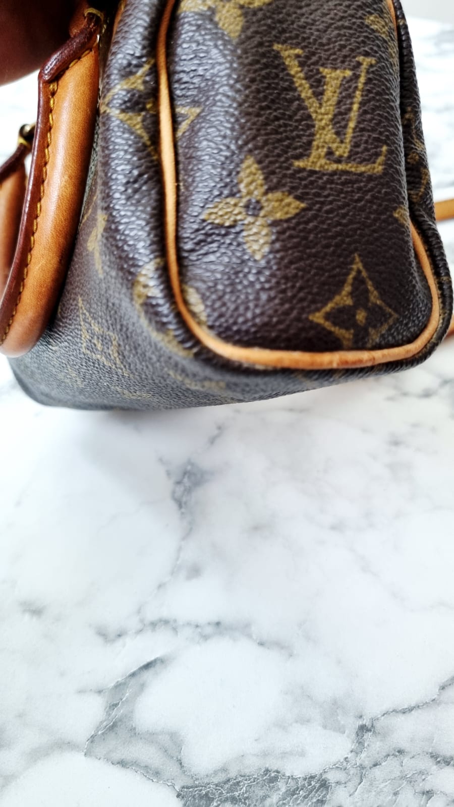 Louis Vuitton Speedy Nano