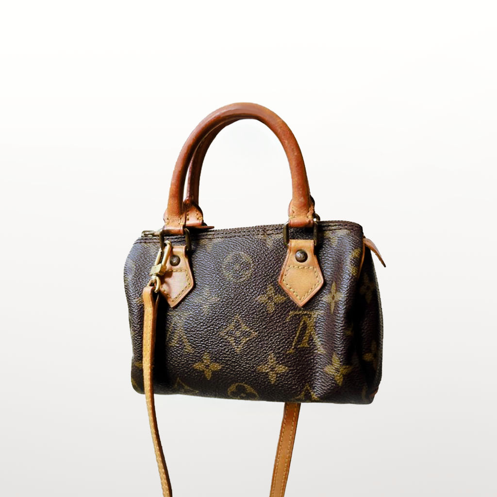 Louis Vuitton Speedy Nano