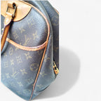 Louis Vuitton Deauville