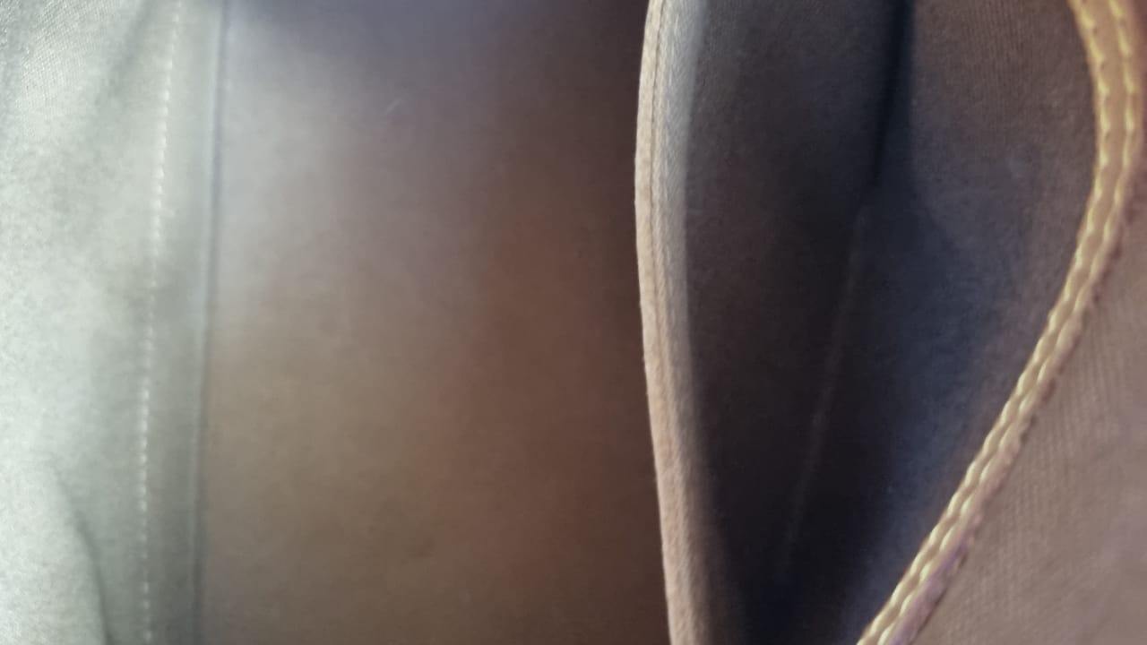 Louis Vuitton Alma MM