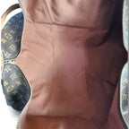 Louis Vuitton Keepall 60