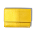 Céline Portefeuille Full Set