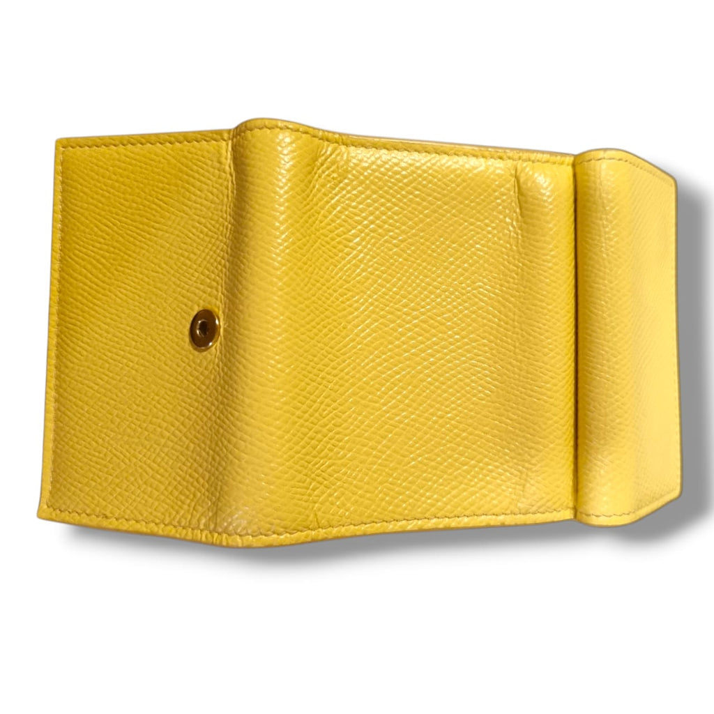 Céline Portefeuille Full Set
