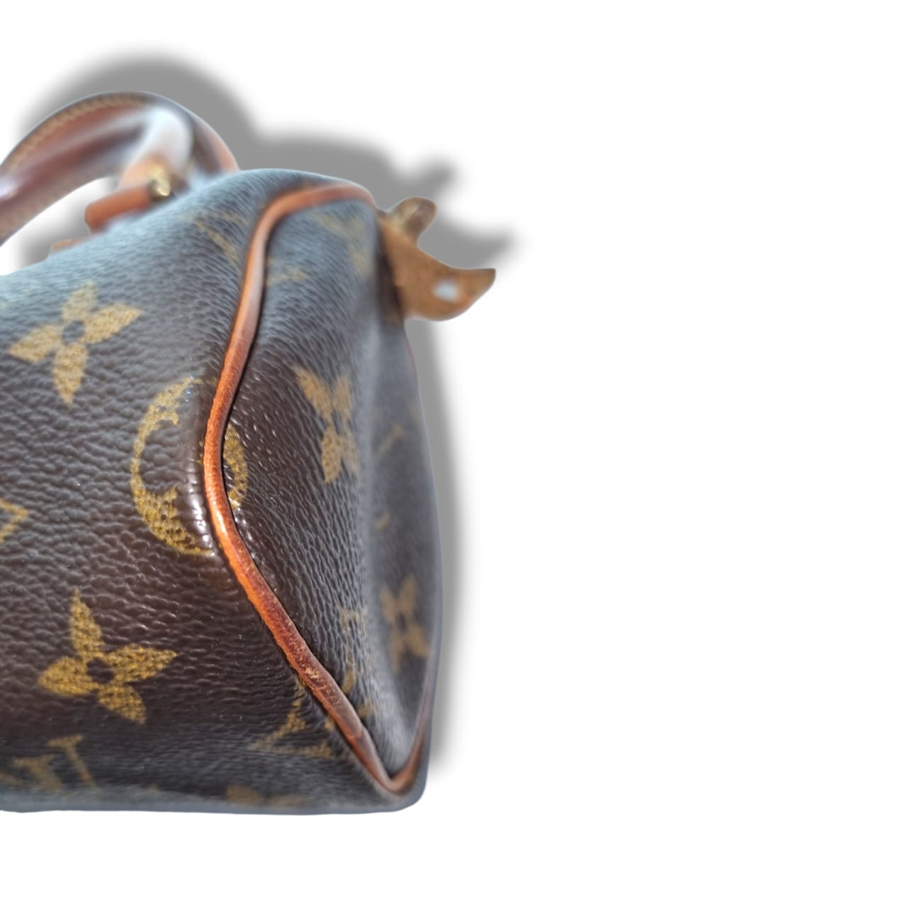 Louis Vuitton Nano Speedy