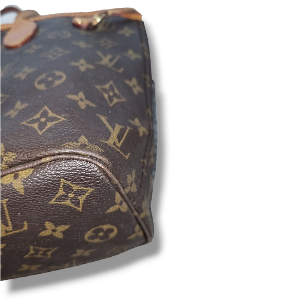 Louis Vuitton Neverfull