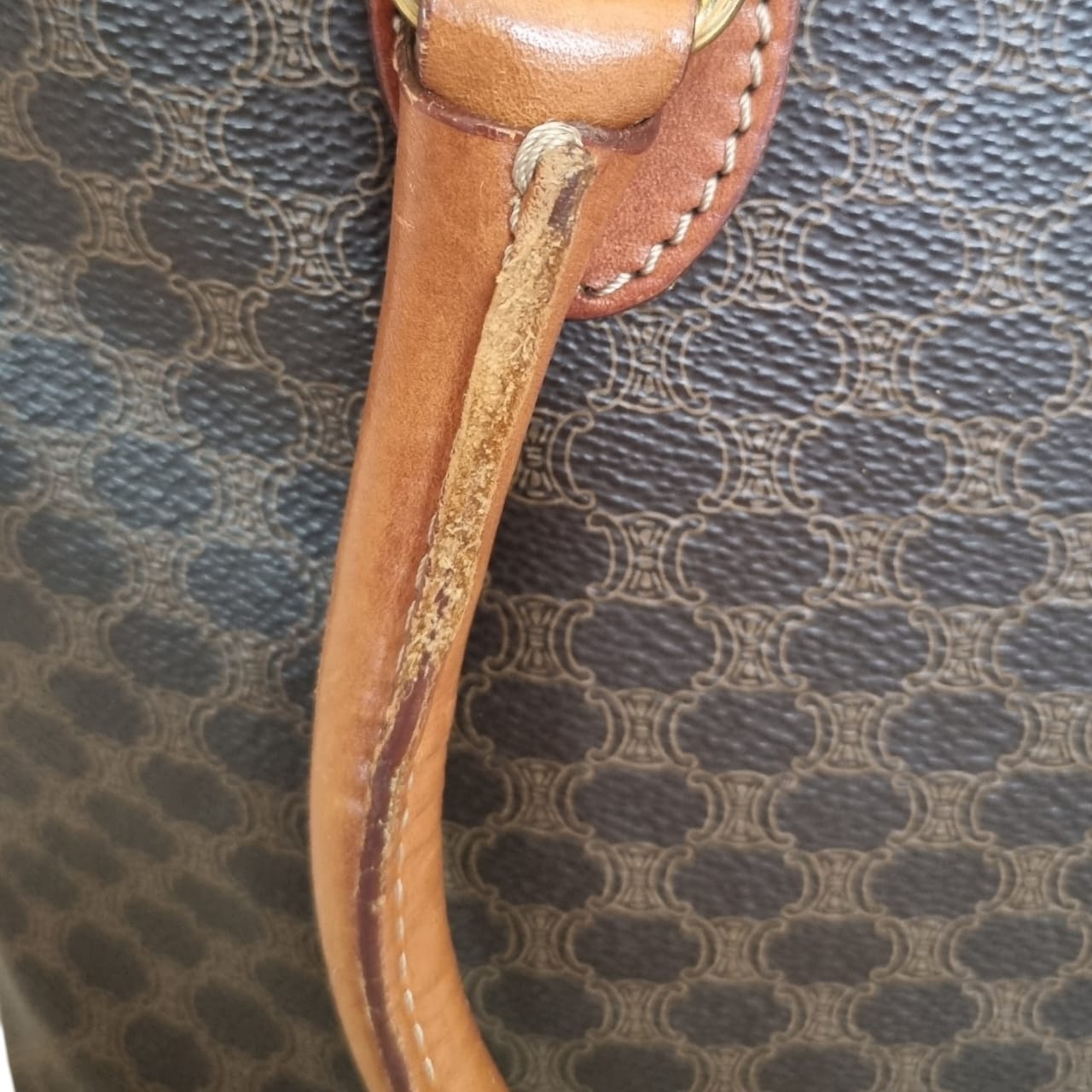 Céline Lady