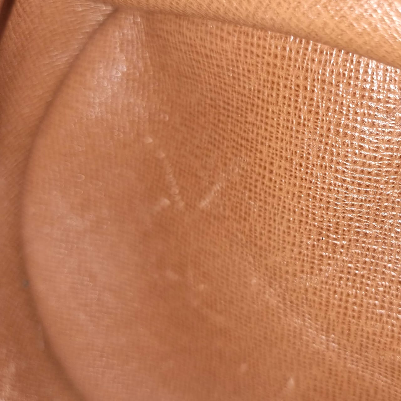 Papillon Monogram 26cm