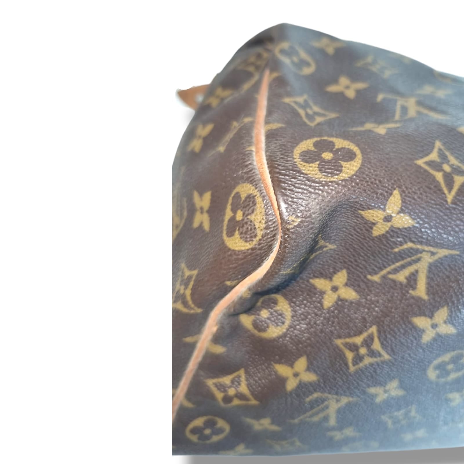 Louis Vuitton Speedy 35
