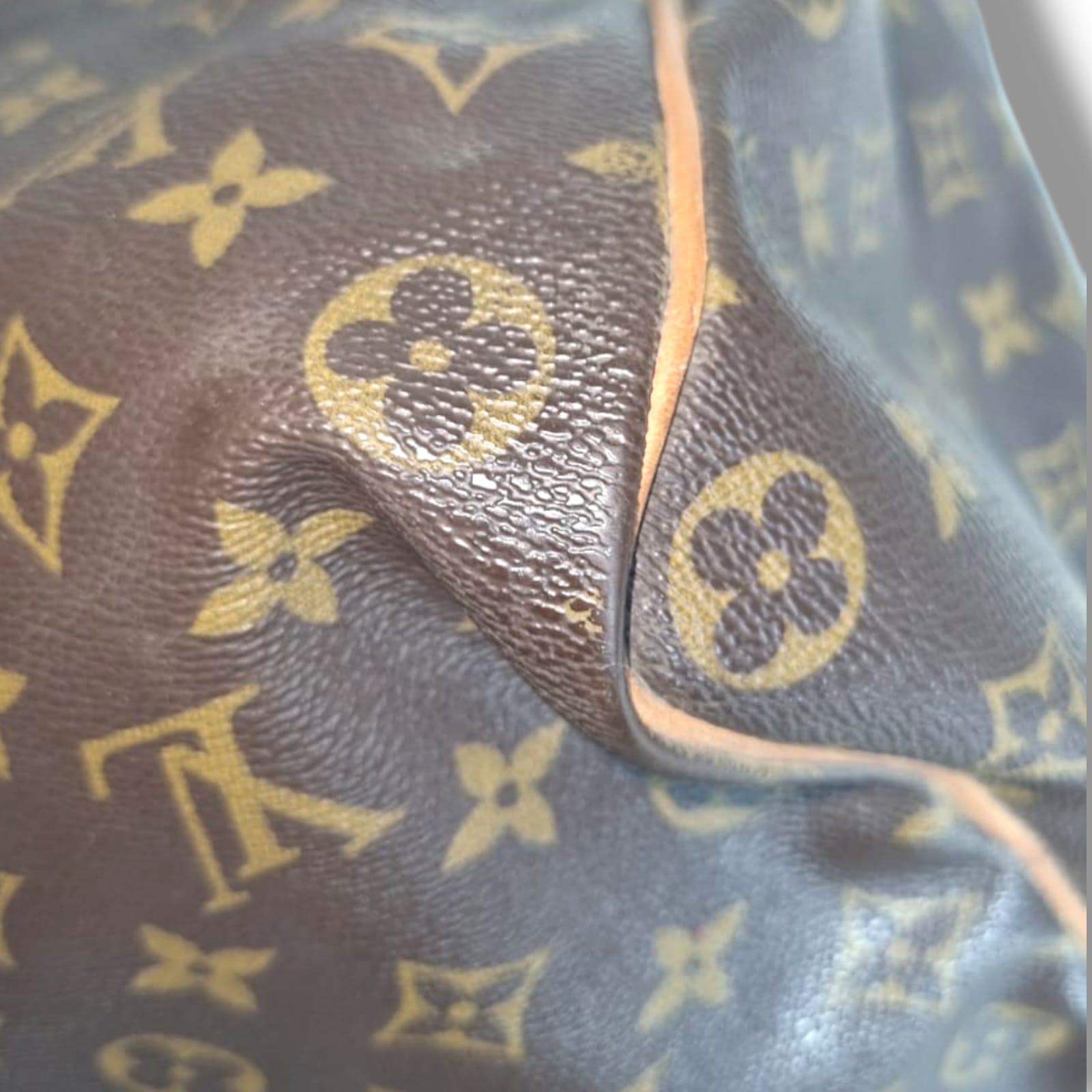 Louis Vuitton Speedy 35