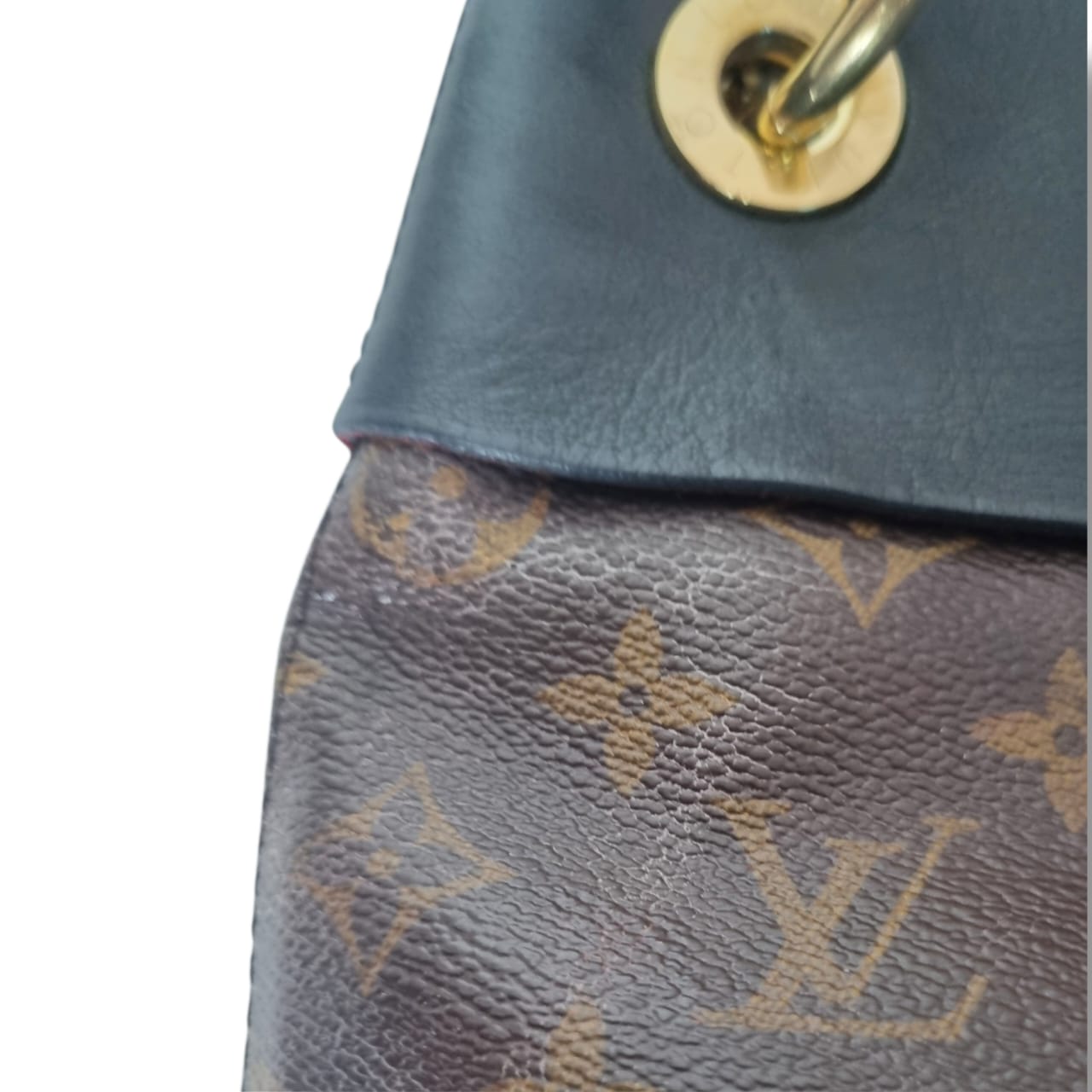 Louis Vuitton Tuileries Hobo Monogram
