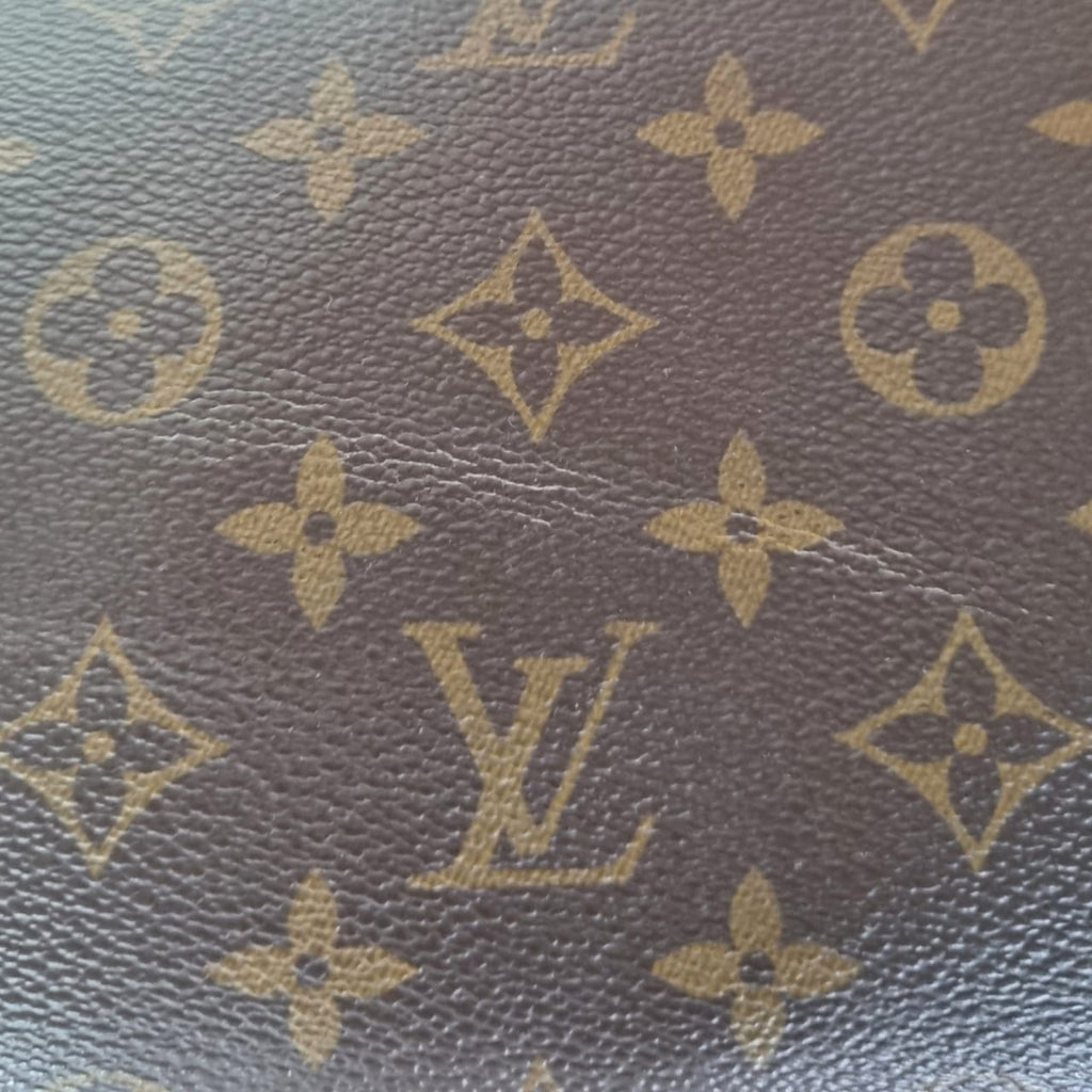 Louis Vuitton Tuileries Hobo Monogram
