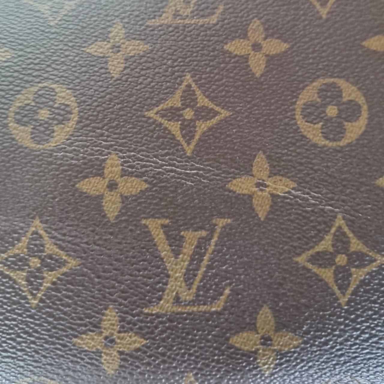 Louis Vuitton Tuileries Hobo Monogram