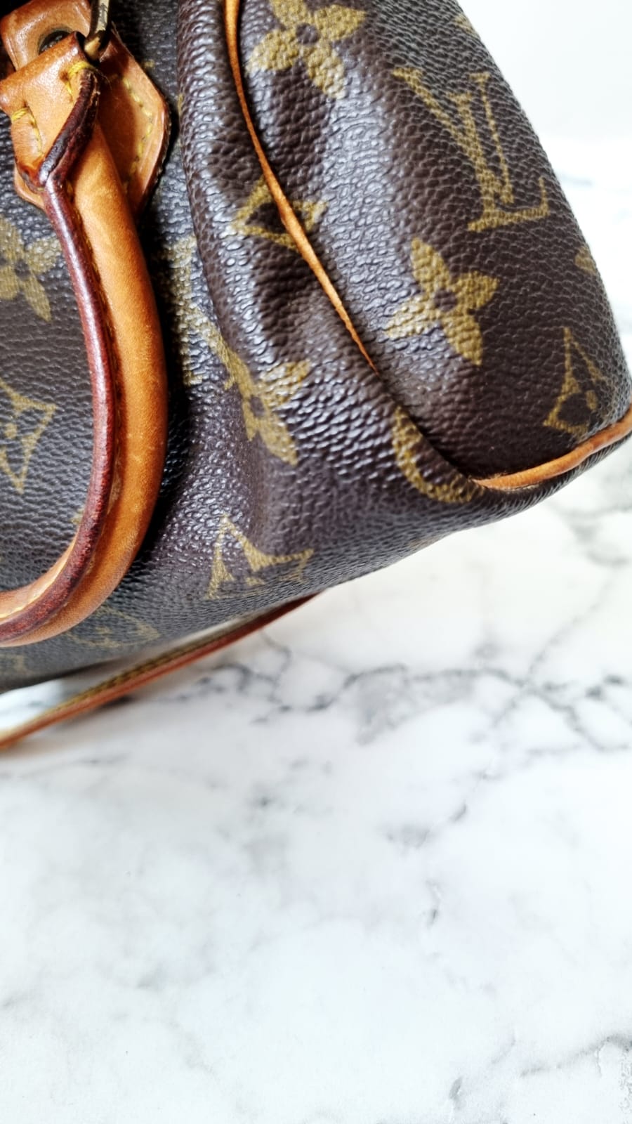 Louis Vuitton Speedy Nano