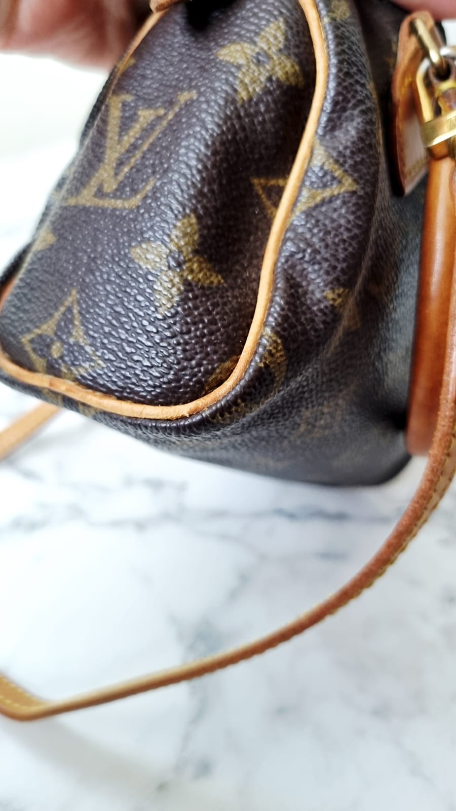 Louis Vuitton Speedy Nano