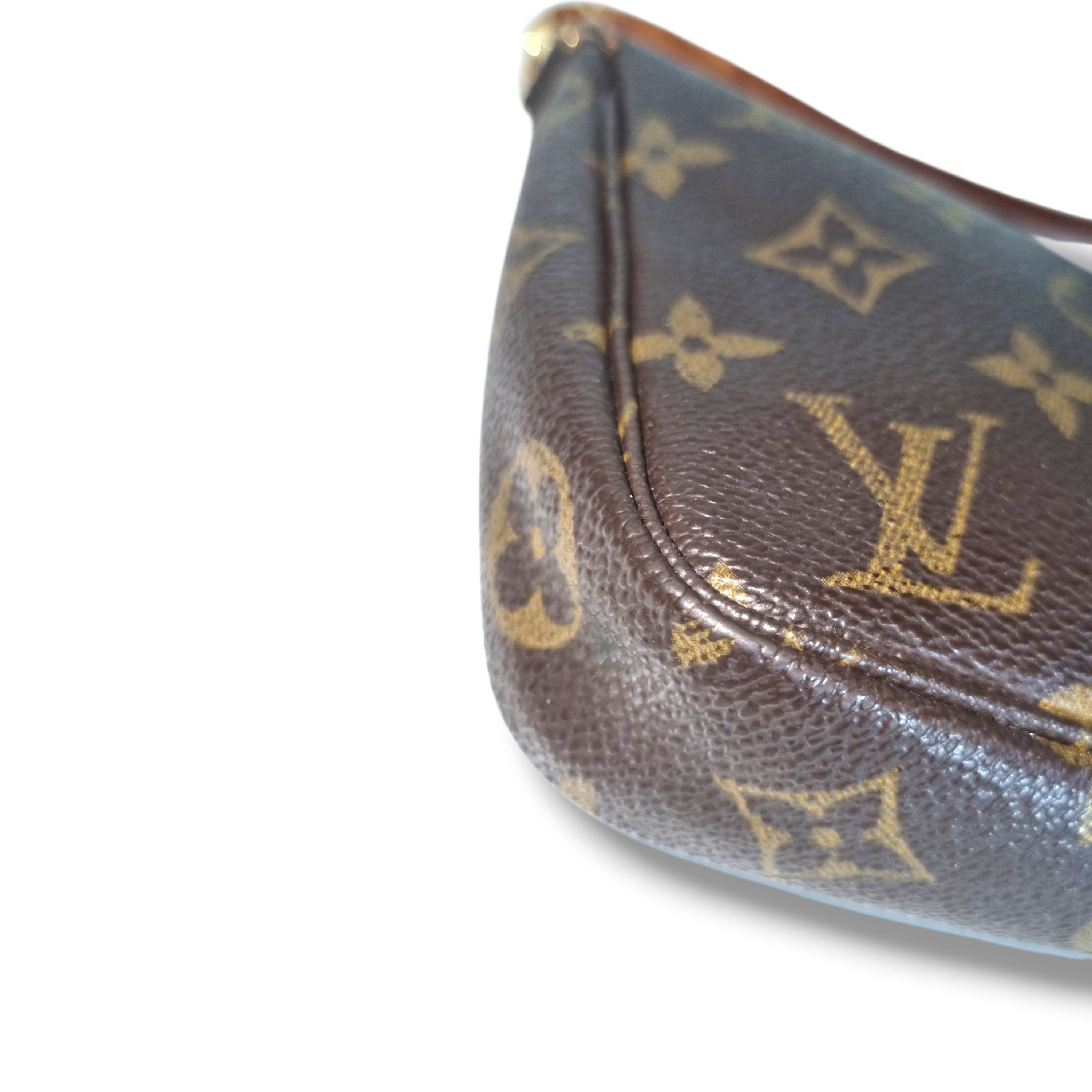 Louis Vuitton Pochette accessoire