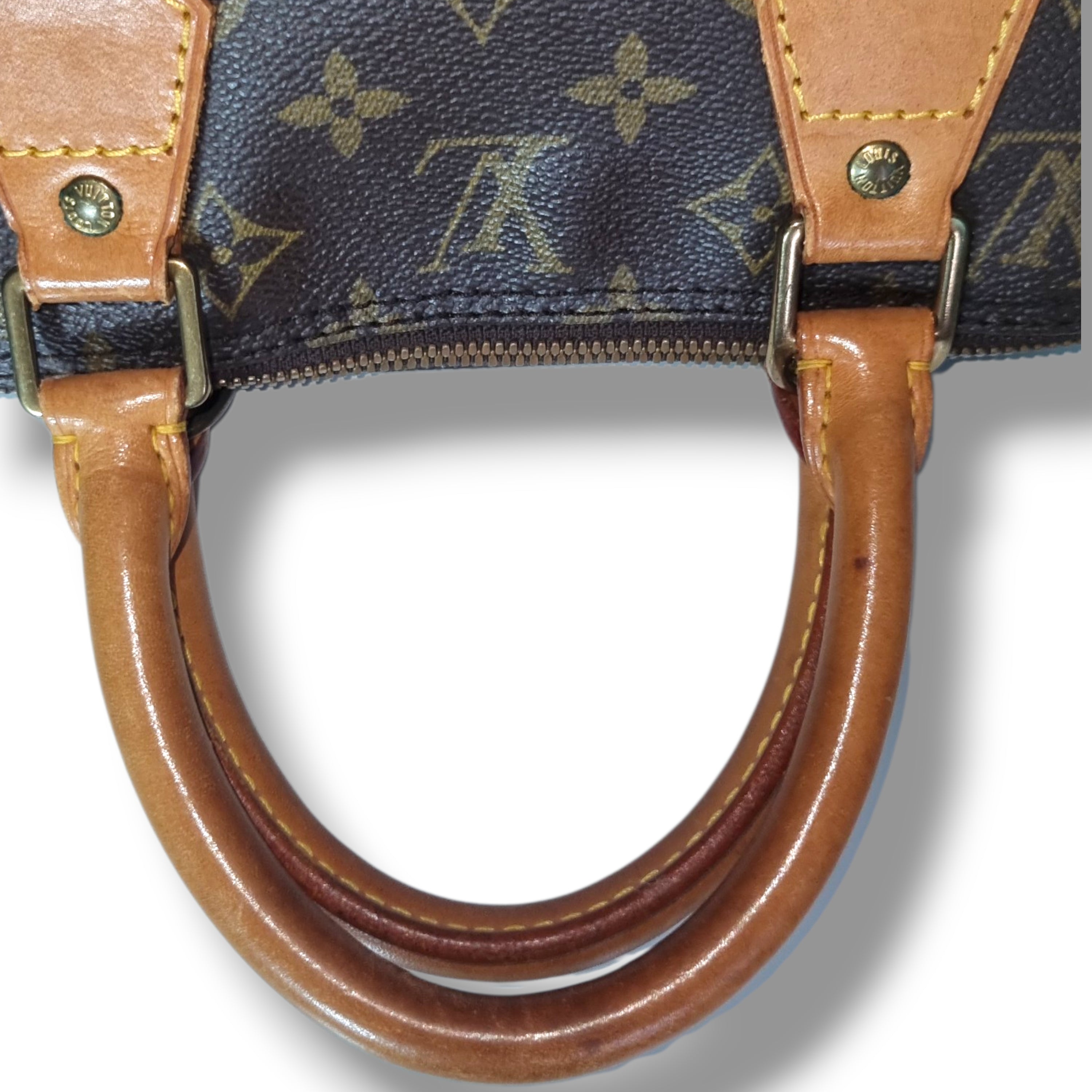 Louis Vuitton Alma